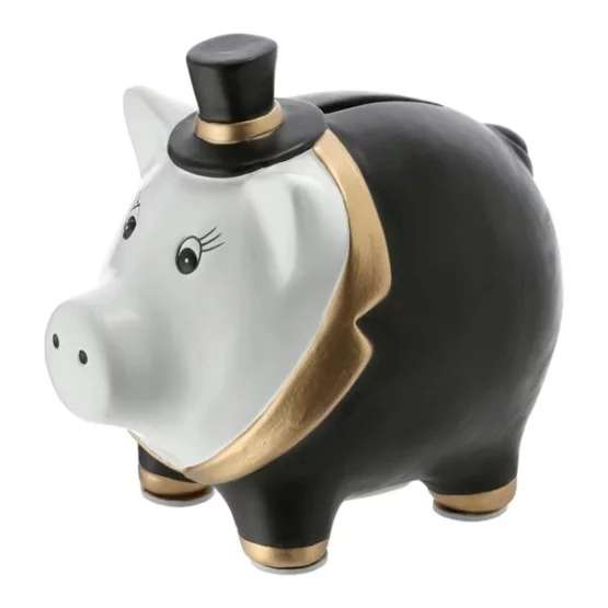 Pig piggy bank groom